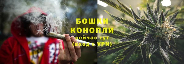 молекула духа Богданович