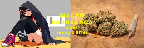 молекула духа Богданович