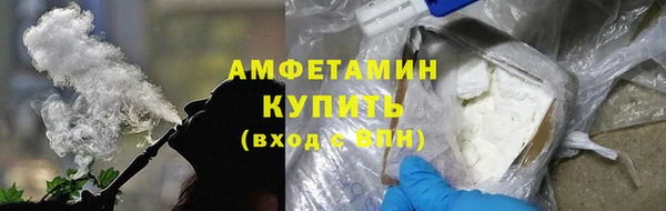 молекула духа Богданович