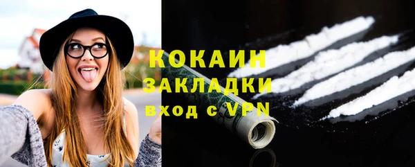 молекула духа Богданович