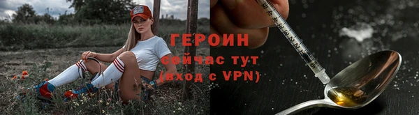 молекула духа Богданович