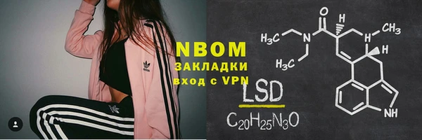 молекула духа Богданович