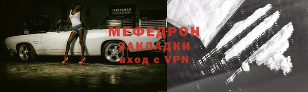 молекула духа Богданович
