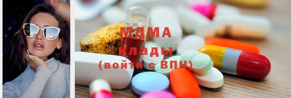 молекула духа Богданович