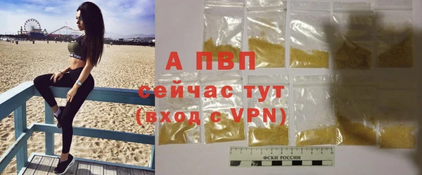 молекула духа Богданович