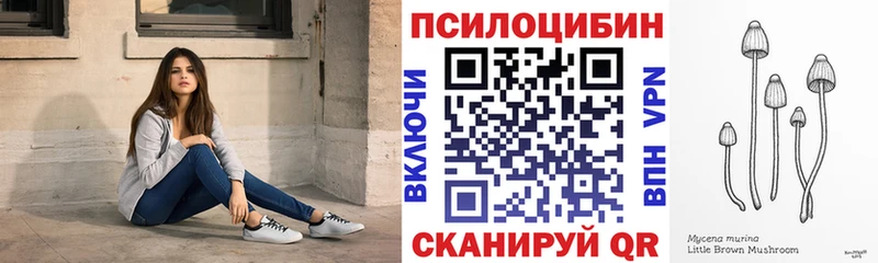 Галлюциногенные грибы GOLDEN TEACHER Торопец